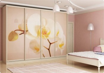 Шкаф-купе в спальню: критерии выбора, виды и дизайн в Чанах - chany.mebel54.com | фото