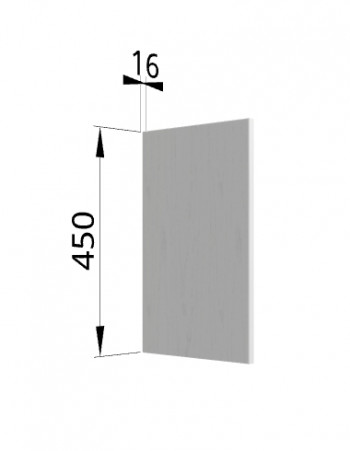 Панель торцевая (для шкафа горизонтального высокого) ВПГ Ройс (Графит софт) в Чанах - chany.mebel54.com | фото