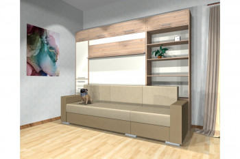 Шкаф-кровать с диваном Каролина в Чанах - chany.mebel54.com | фото